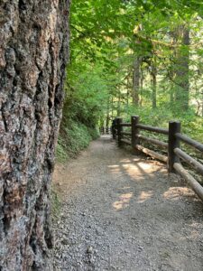 A pathway leading forward, symbolizing the journey of discipleship and following Jesus