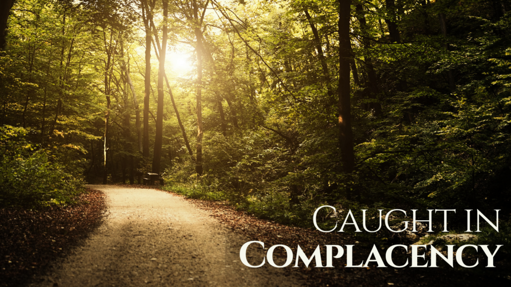 Sunlit forest path winding through trees, representing a spiritual journey from complacency to deeper intimacy with God.